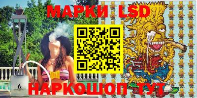 стаф Шебекино