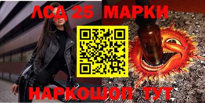 индика Шелехов