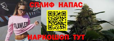 стаф Шебекино