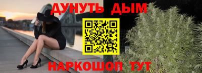 индика Шелехов