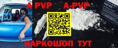 стаф Шебекино
