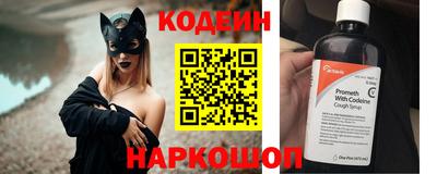 индика Шелехов