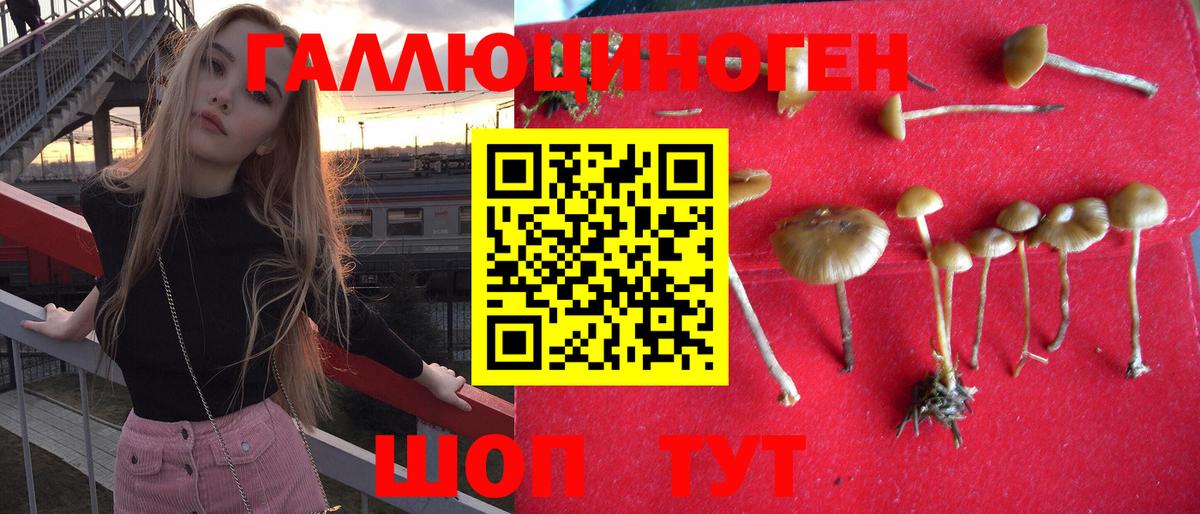 Псилоцибиновые грибы ЛСД Кулебаки