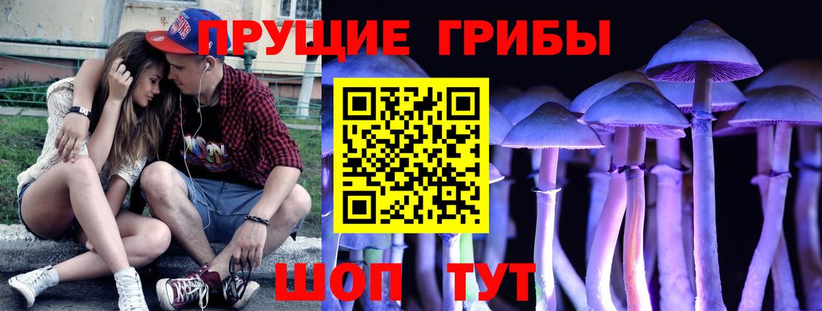 Кулебаки  Галлюциногенные грибы Cubensis  Вход с VPN 